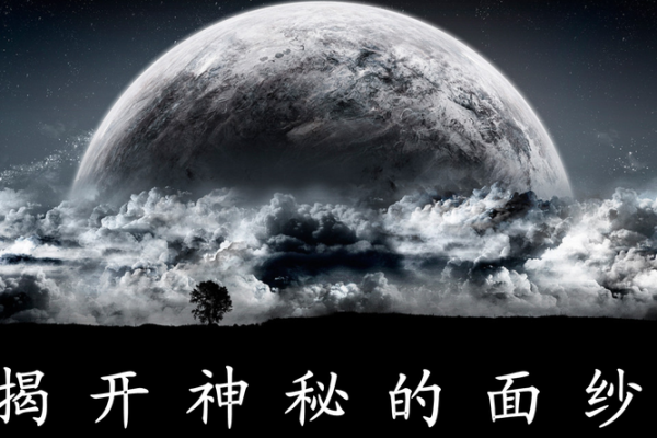 揭开命理数字的神秘面纱：你的命运数字解读之旅