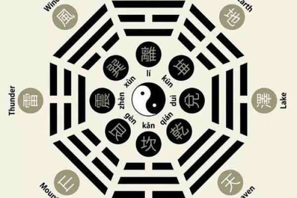 命理属木的你，适合选择哪些行业发展？