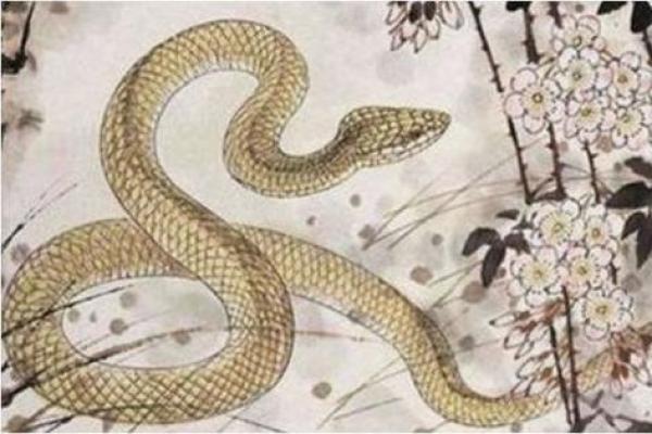 揭秘女路旁土命：与大地相辅相成的女性命运
