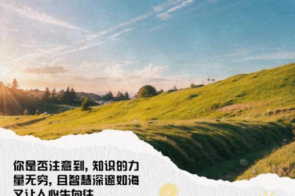 男生贤能之命：掌握人生前路的智慧与力量