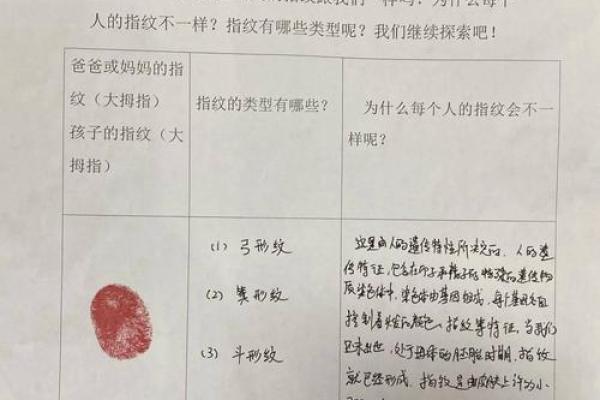 揭开指纹背后的秘密：三个螺的命运之谜