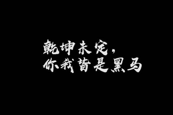 命中命外皆是命：探讨人生选择与宿命的思考