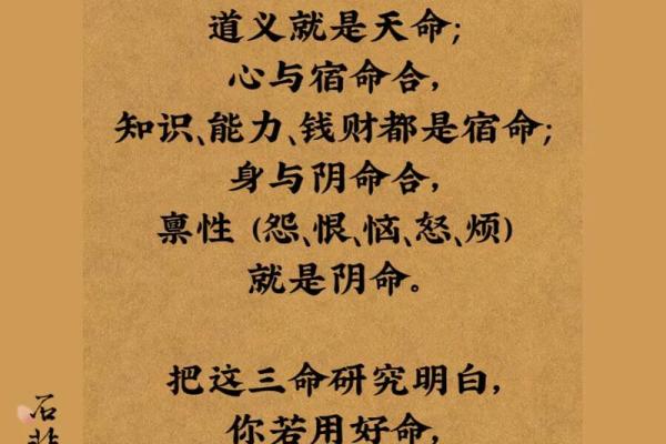 命中命外皆是命：探讨人生选择与宿命的思考