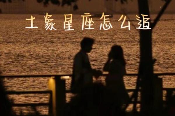 揭秘十二星座命运密码，探索运势与个性奥秘！