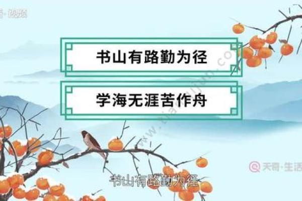 居易俟命：安然静待，命运之舟自会驶来