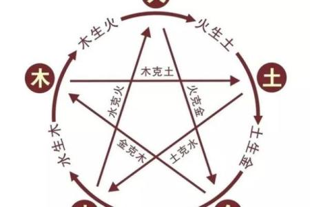 2006年属狗人命运解析：从五行看人生轨迹与机遇