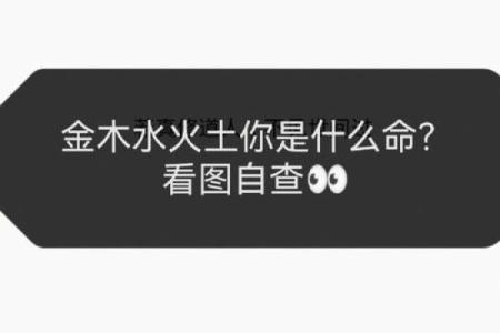 男土命与最佳命相配的深度解析与相生法则