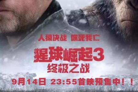 逆天而行:命运的抗争与重新崛起