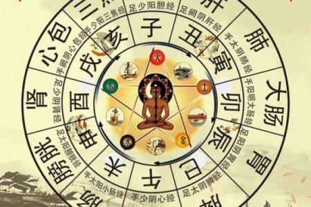 农历22五行命理解析:带你探寻生命的秘密与能量