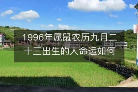 1996年属鼠的命运解析：从五行看人生轨迹与发展方向