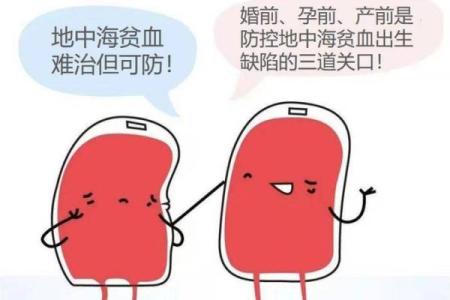 靠葡萄糖续命的疾病：解密糖尿病背后的故事与挑战