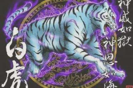 揭秘女命带白老虎的深层含义与影响