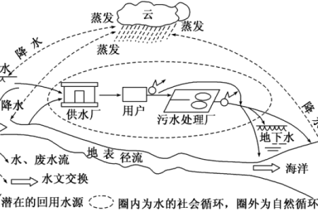 命里有水的人：性格、运势与生活的深刻解析