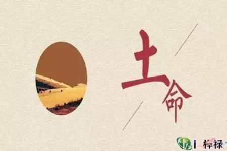 路旁土命:如何为土命选择合适的名字