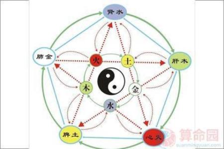 命理属木的你,适合选择哪些行业发展?