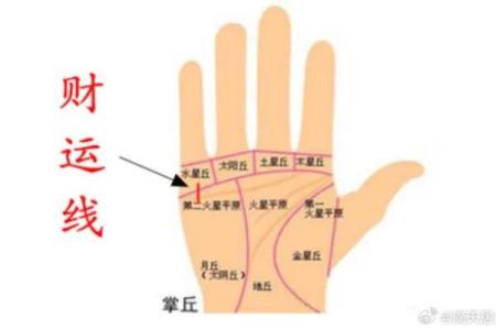 通过手相看命运，揭示你的人生运势与未来可能！