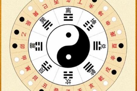 探讨女命正官与男命的深刻关系：命理解读与情感启示