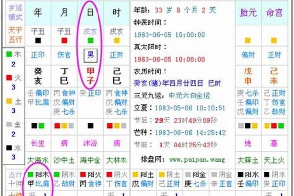 六九年男鸡的五行命理解读与命运解析