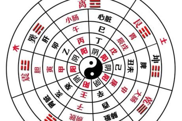 腊月出生的人五行分析：探讨命运与性格的奥秘