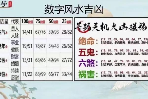 女东四命与适合男命的完美搭配，如何找到心灵伴侣！