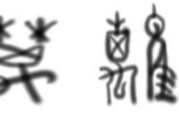 命字与周易：探秘命理中的动物象征与内涵