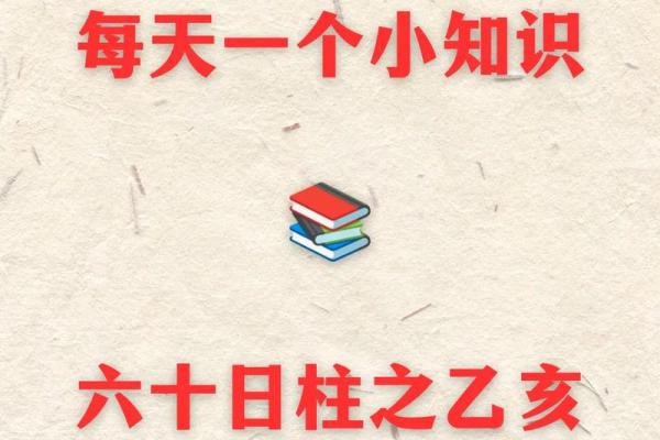 乙亥年女命解析：命理与人生的深刻启示