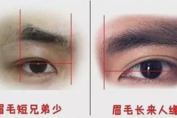 眉毛尾端细长，命运解读与性格特征分析