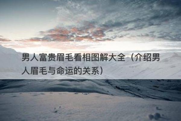 眉毛尾端细长，命运解读与性格特征分析