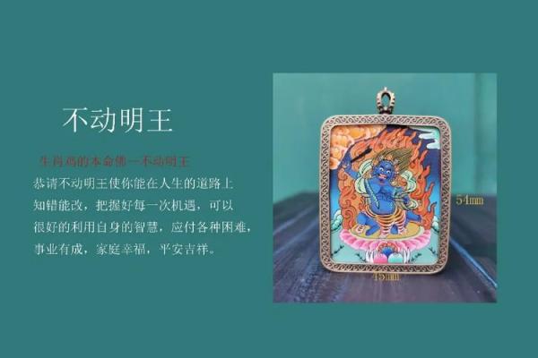 狂凤独力与生肖命运的玄机探索