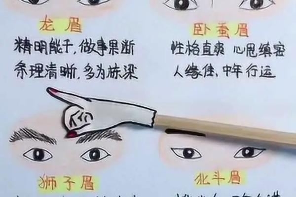眉毛形状与财运的关系：探索财富命相的奥秘