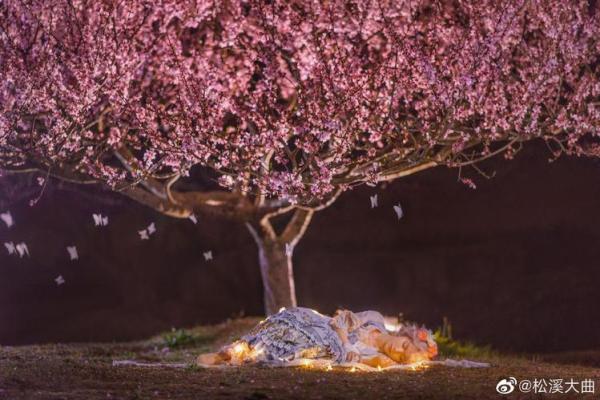 卯年桃花盛开：探索桃花旺盛之命的神秘与运势