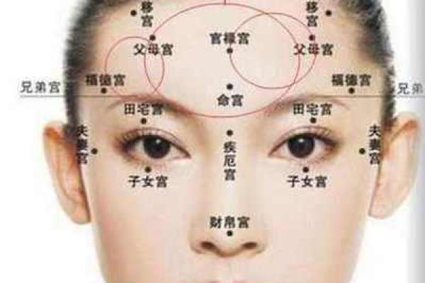 女命推业心：从命理看女性职业发展方向与潜力