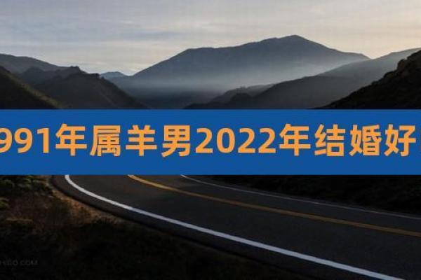 1991年属羊男命解析：性格、职业与感情之路