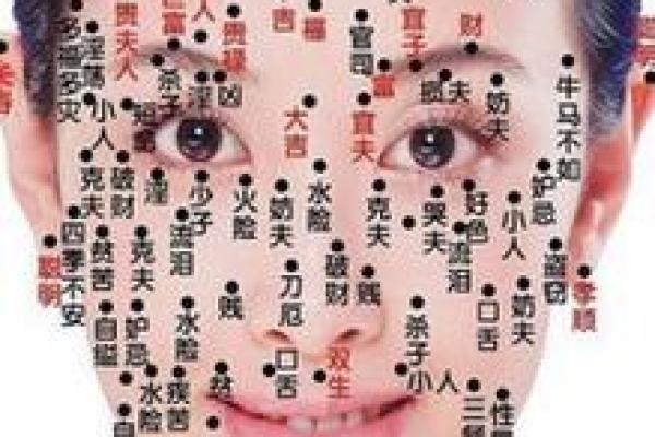 眉毛与命运：揭示女性命运的面相之谜