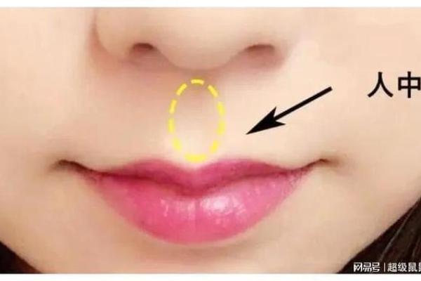 眉毛与命运：揭示女性命运的面相之谜