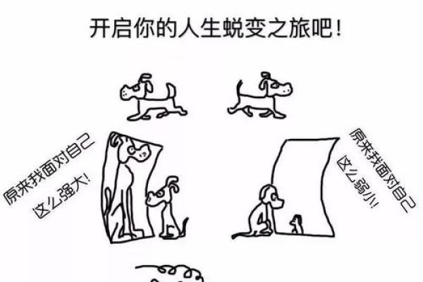 如何通过命格解析男命的命运与人生轨迹