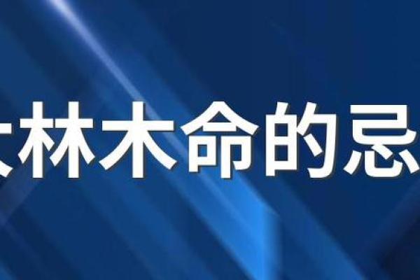 如何选择适合木命人的合作伙伴，从而提升工作效率