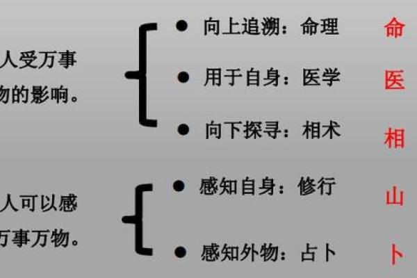 命理学的奥秘：解析命理包含的学科类别与应用