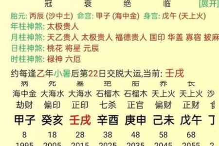 探秘命理：命带九进的神秘命格与其寓意