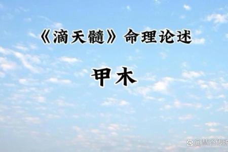 命理与人生:甲木的象征意义与人生启示