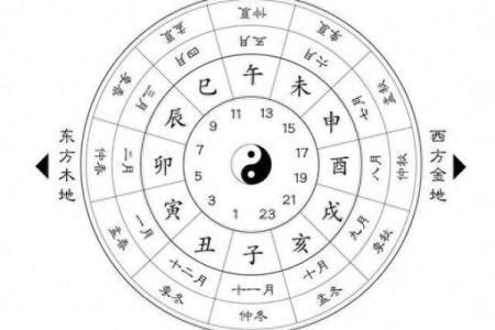 揭示命理奥秘:干支组合与个性命运的深刻联系