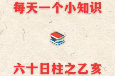 乙亥年女命解析：命理与人生的深刻启示