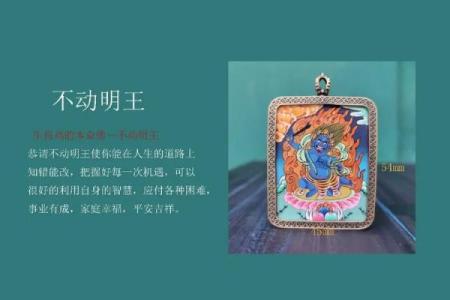 狂凤独力与生肖命运的玄机探索