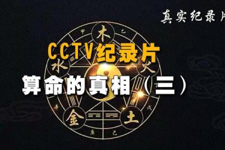 命理查询软件推荐:揭秘生辰八字与财富的神秘关系!