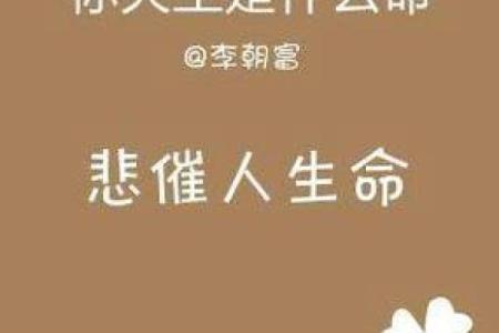 男孩4.2两命解读:命运的奥秘与人生的选择