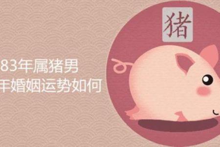 农历八月初八，属猪的命运解析与人生启示