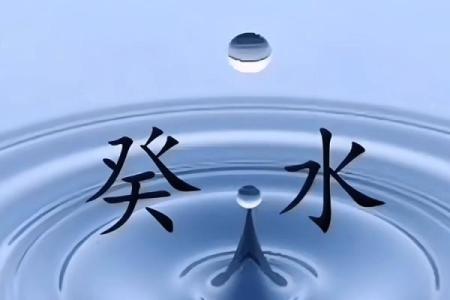 路旁土命与水命的相遇:寻找生命之源的智慧与平衡