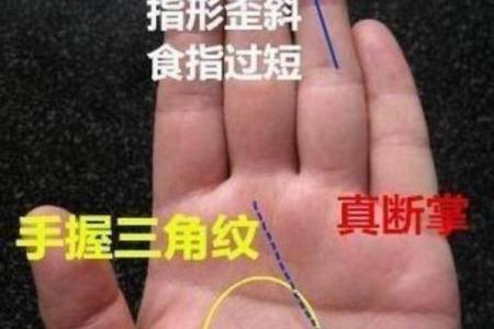 男命丙子日无根的深意解析:命理中的情感与命运之联结