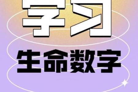 命里有鞋,解读人生中那些不期而遇的缘分与机会