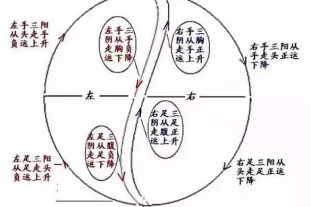 探索历代皇帝八字命格的奥秘与影响